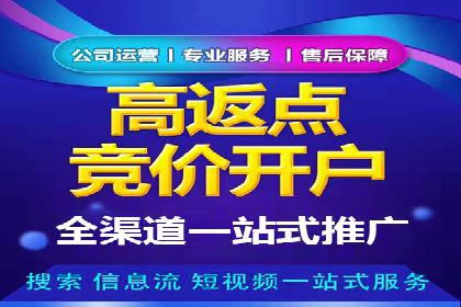 某行业SEM竞价专员的成功策略与经典案例